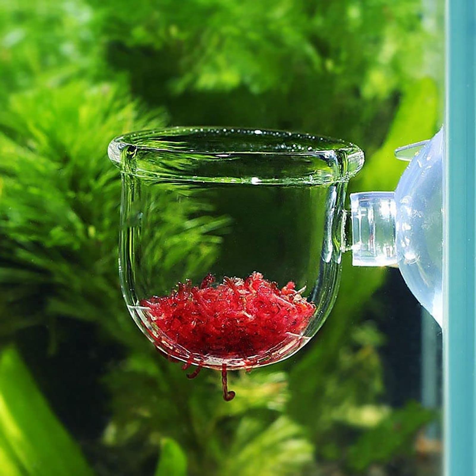 Aquarium Planted Seeds - Pot Tanaman Akuarium Cangkir Silinder Kaca
