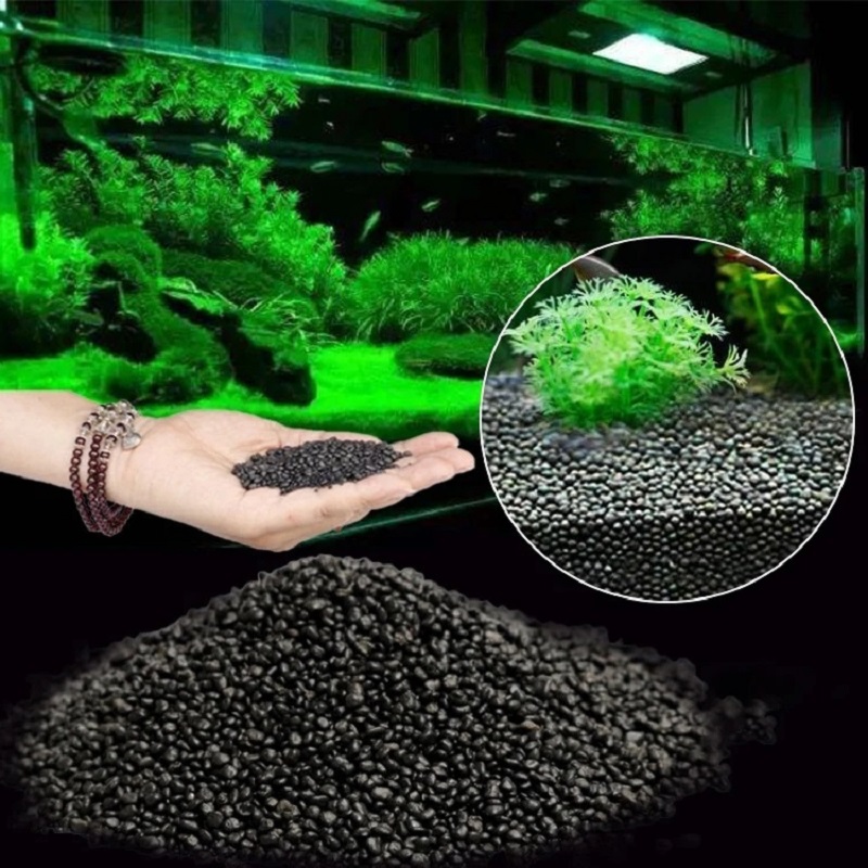 Aquarium Planted Seeds - Tangki Ikan Air Rumput Lumpur Tanaman