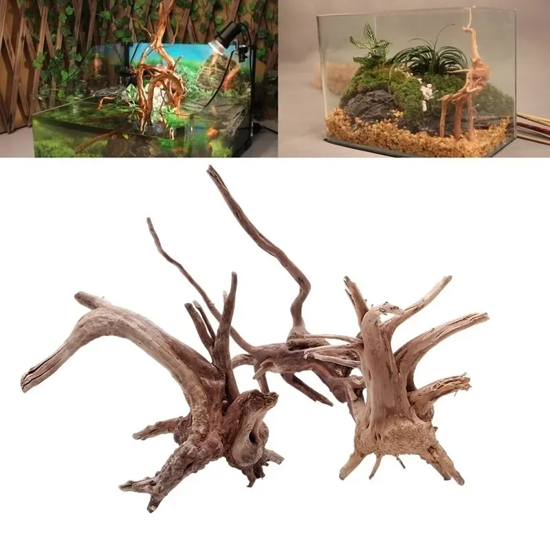 Aquarium Plant Design - Pohon alami kayu apung akuarium tangki