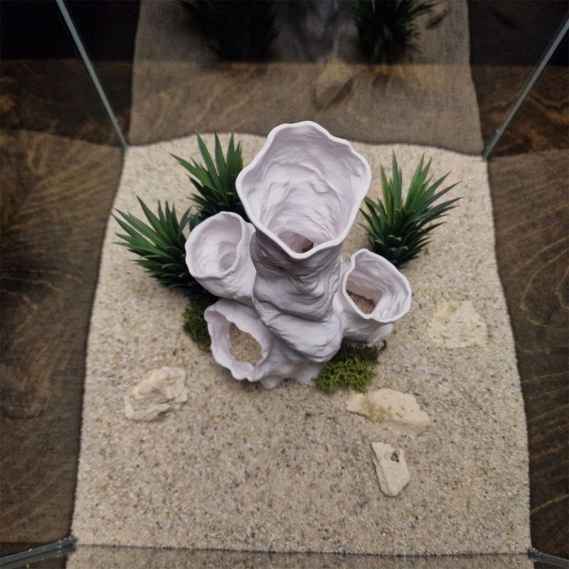 Aquarium Plants For Sale - Promo Terbatas Terarium Hias 3D Cetak