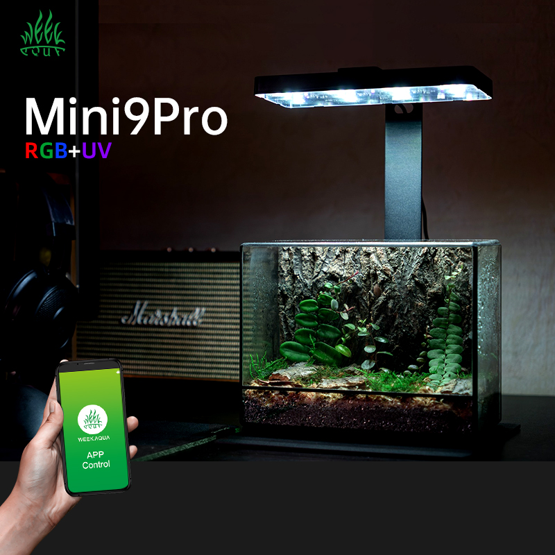 Aquarium Plants For Sale - Lampu Tanaman Mini9pro Nano Terrarium USB,