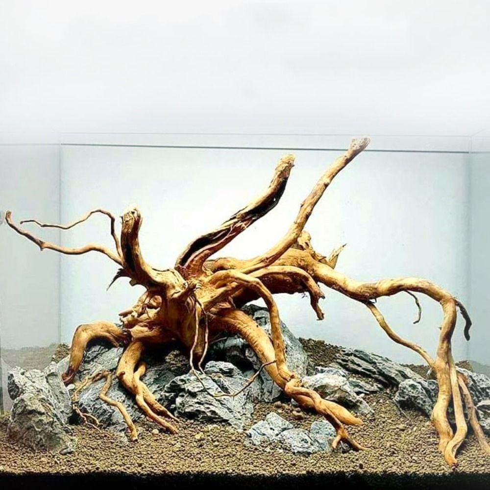 Aquarium Plant Design - Kayu Apung Akuarium Besar 20-25CM, Dekorasi