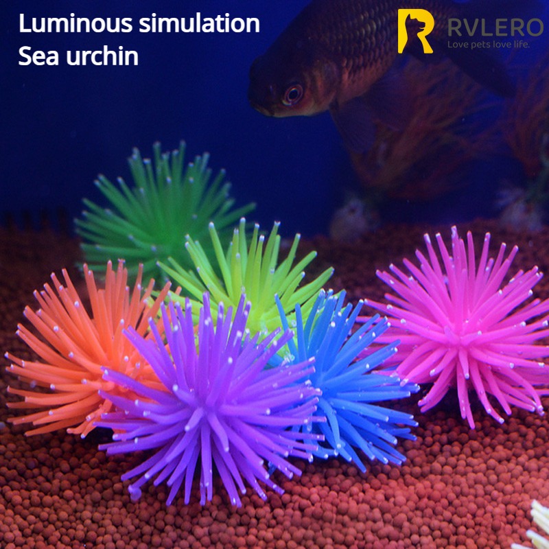 Aquarium Plant Design - Anemone hiasan akuarium, hiasan rumah lanskap