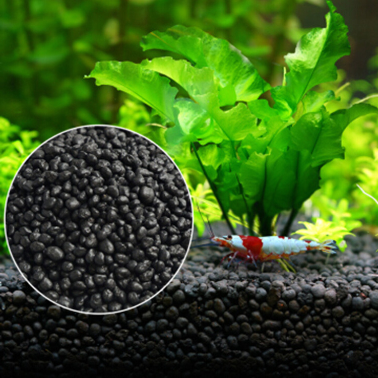 Aquarium For Planted Tank - Bibit Tanaman Akuarium Tanah Tangki Ikan