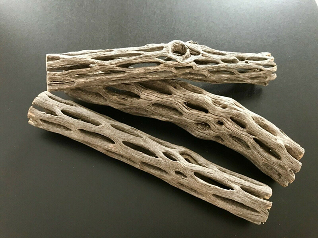 Aquarium Planted Seeds - Akuarium Organik/alami, rumah sarang udang kayu