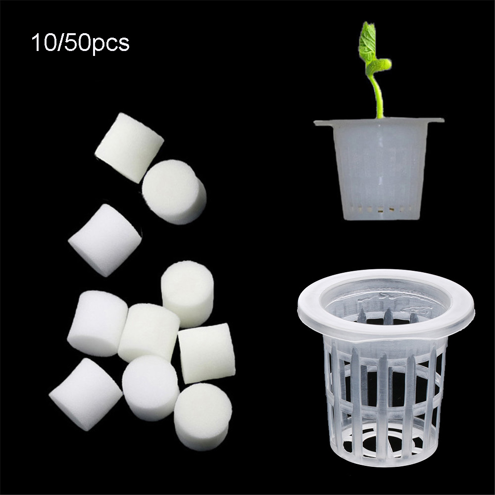 Aquarium Planted Seeds - 10/50 Buah Baki Penyemaian Hidroponik Tanpa