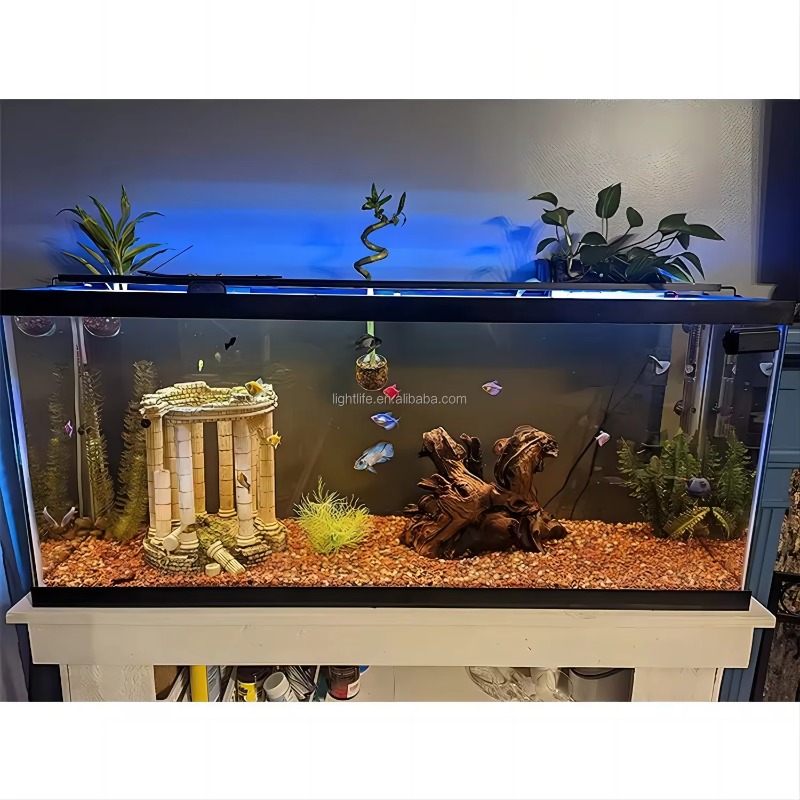 Lampu Akuarium LED Otomatis 24 - Planted Aquarium Cycling ulasan dan harga