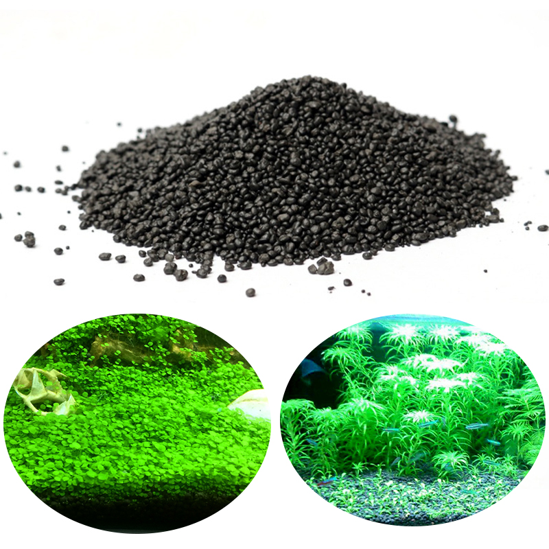 Akuarium Air Rumput Lumpur Bib - Aquarium Planted Seeds ulasan dan harga