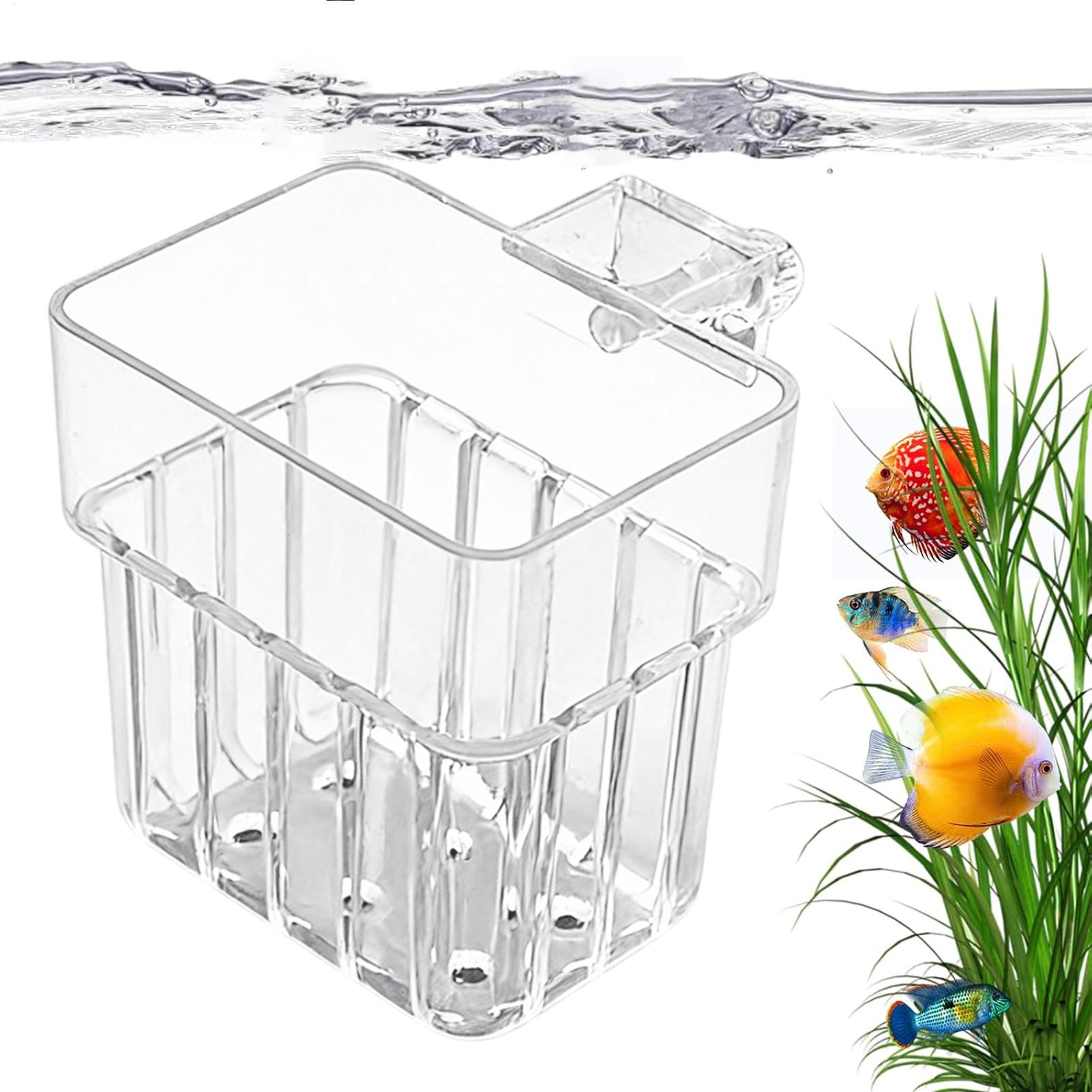 Pot Tanaman Akuarium Transpara - Aquarium Plant Design ulasan dan harga