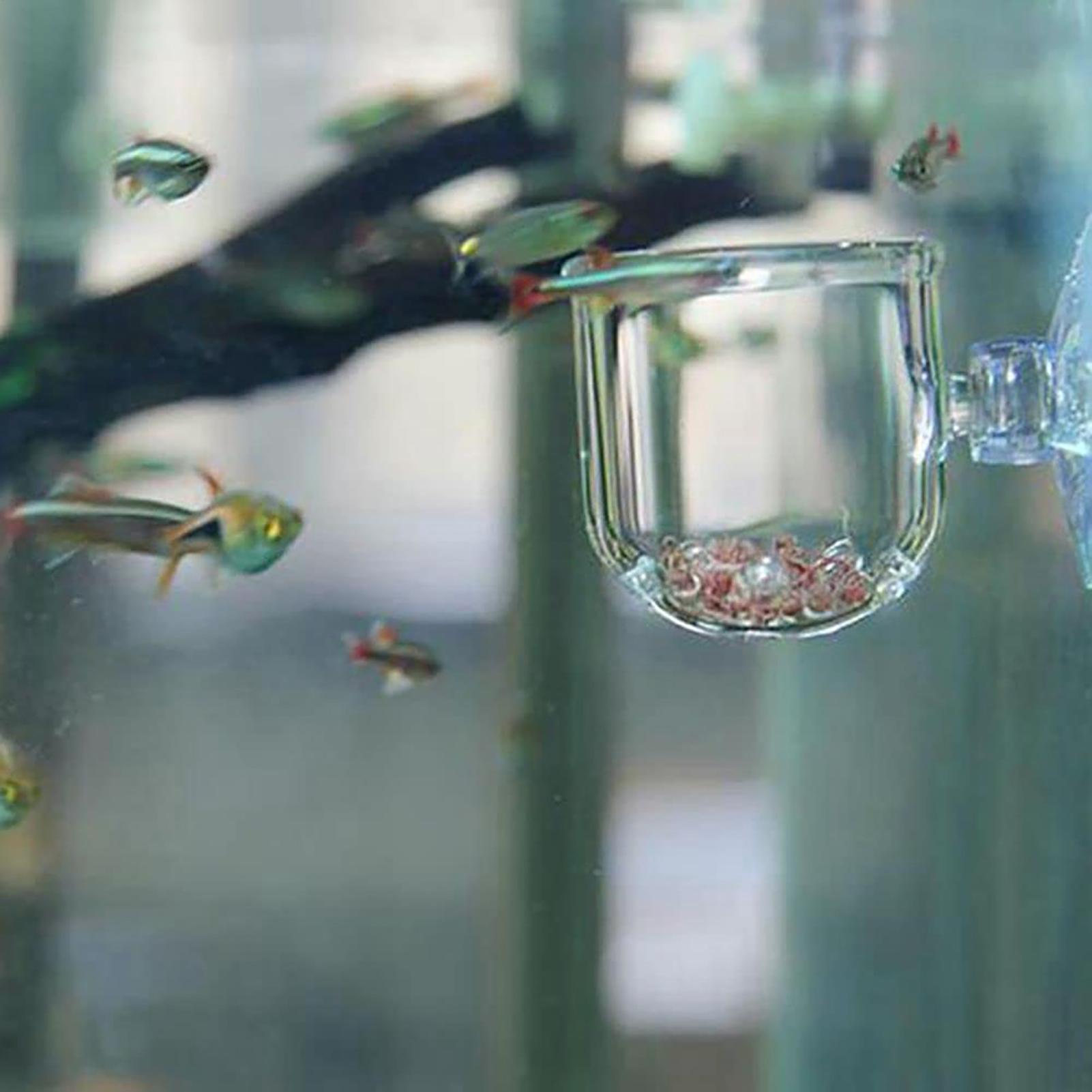 Pot Tanaman Akuarium Cangkir S - Aquarium Planted Seeds ulasan dan harga
