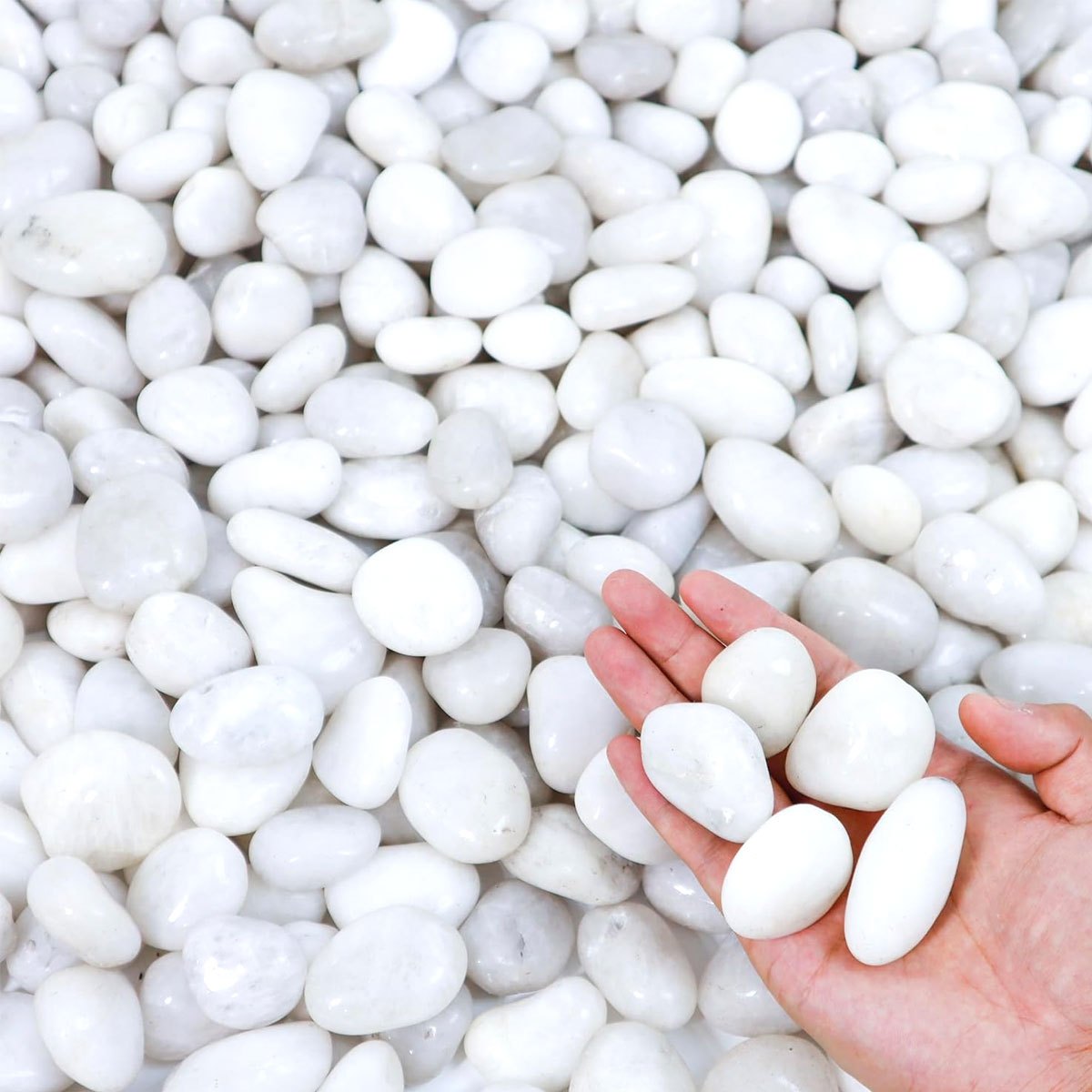 400g Kerikil Sungai Alami Pole - Aquarium Sand White ulasan dan harga