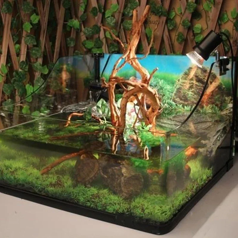 Pohon alami kayu apung akuariu - Aquarium Plant Design ulasan dan harga