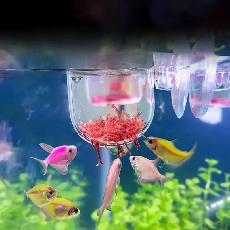 Aksesoris Akuarium Gantung unt - Aquarium Plant Factory ulasan dan harga