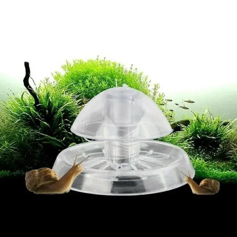2026 Perangkap Siput Plastik T - Aquarium For Planted Tank ulasan dan harga