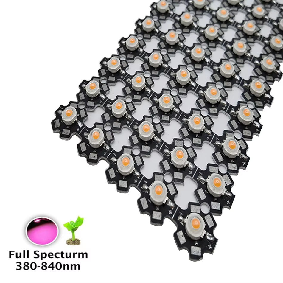 Lampu LED 1W 3W 5W, Chip COB S - Aquarium Planted Seeds ulasan dan harga