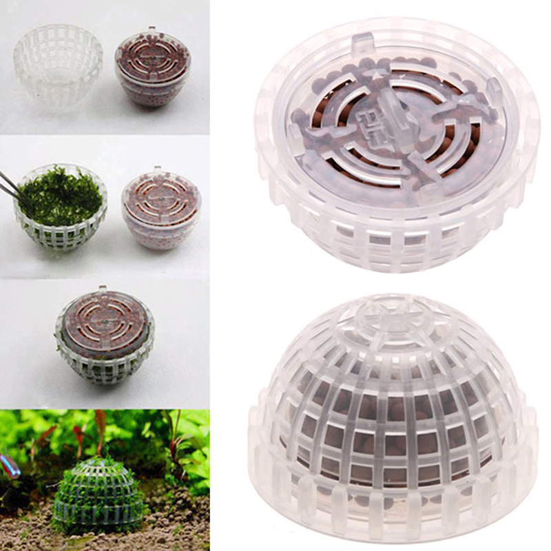 Promo Besar Perlengkapan Hewan - Aquarium Plants For Sale ulasan dan harga