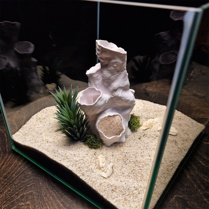 Promo Terbatas Terarium Hias 3 - Aquarium Plants For Sale ulasan dan harga