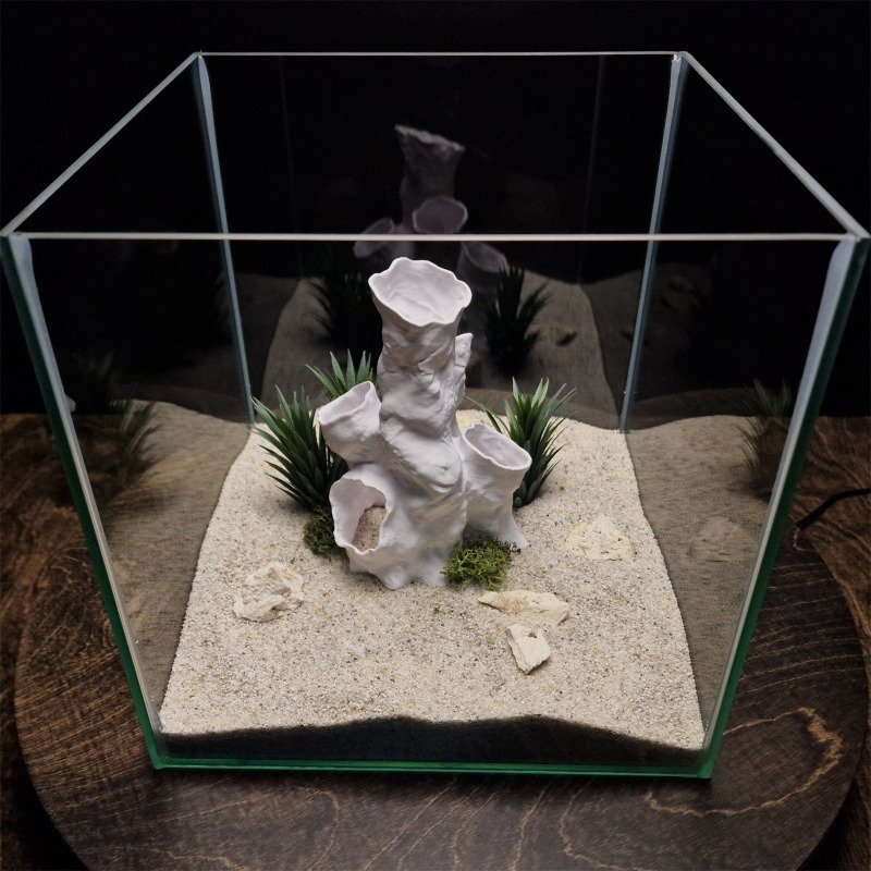 Promo Terbatas Terarium Hias 3 - Aquarium Plants For Sale ulasan dan harga