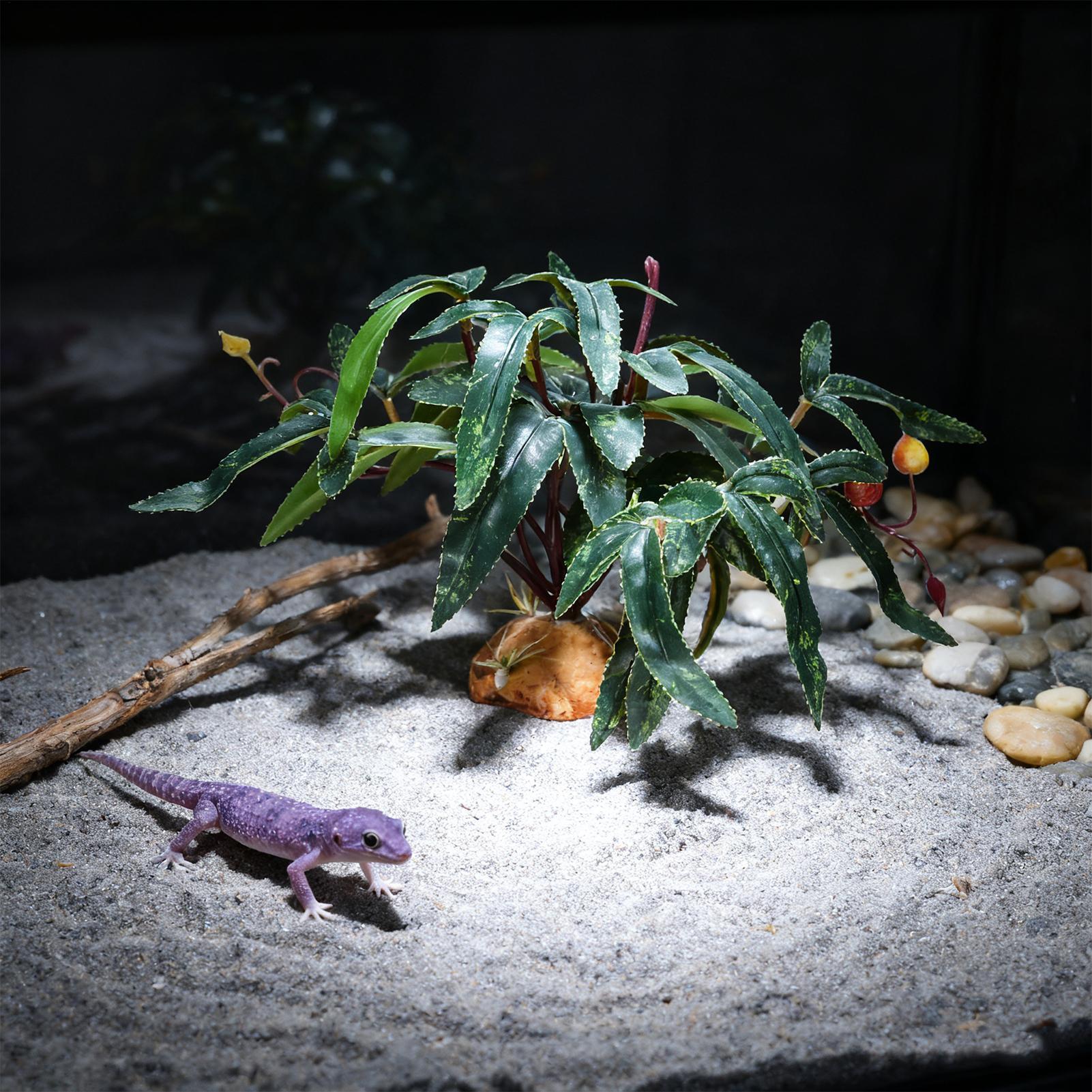 Tanaman Reptil Palsu, Hiasan T - Aquarium For Planted Tank ulasan dan harga