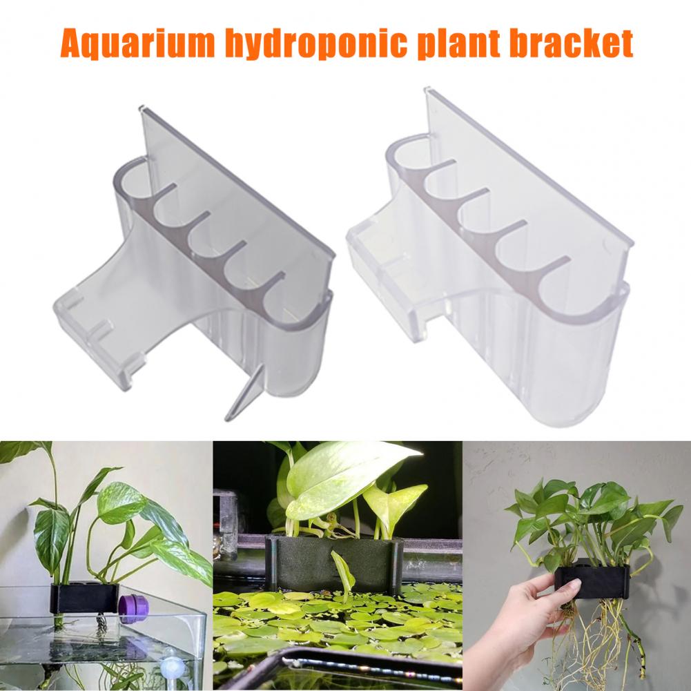 4.5/6.5Cm Tempat Tanaman Akuar - Aquarium For Planted Tank ulasan dan harga