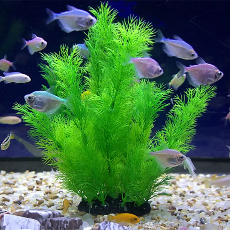 Tanaman Dekorasi Akuarium Buat - Aquarium Plant Ornament ulasan dan harga