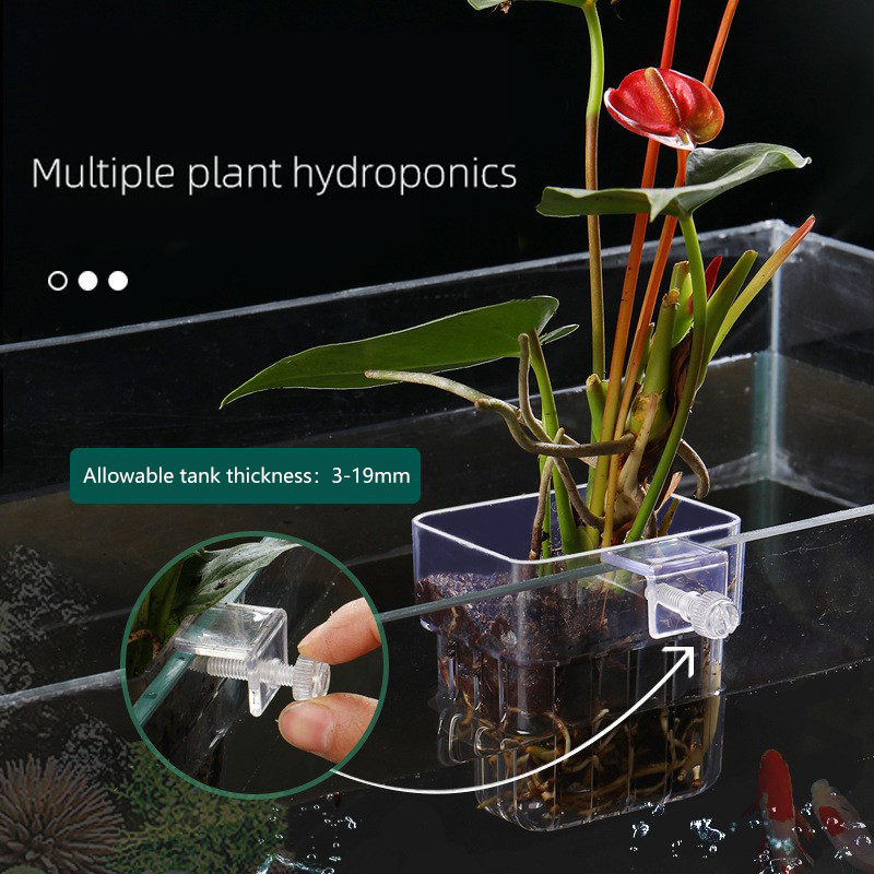 1 buah keranjang tanaman hidro - Aquarium Planted Seeds ulasan dan harga