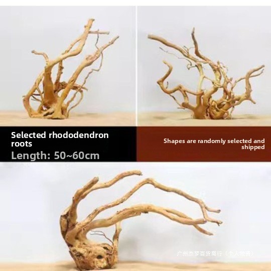 Cabang Kayu Apung Alami Untuk  - Aquarium For Planted Tank ulasan dan harga