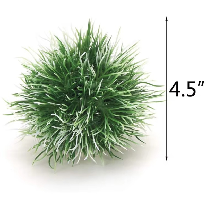 10pcs Penjualan Terlaris Produ - Aquarium Plants For Sale ulasan dan harga