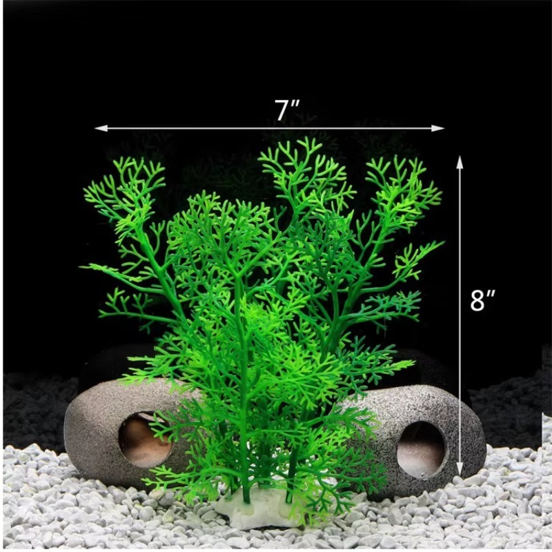 10pcs Penjualan Terlaris Produ - Aquarium Plants For Sale ulasan dan harga