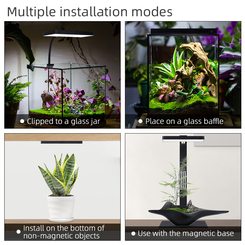 Lampu Tanaman Mini9pro Nano Te - Aquarium Plants For Sale ulasan dan harga