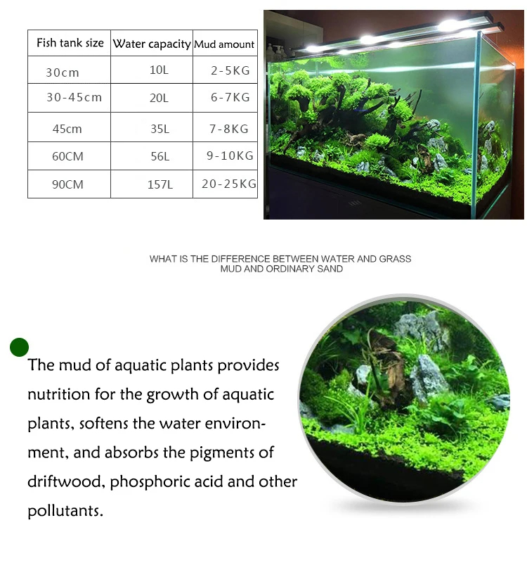 Tangki ikan rumput air bibit t - Aquarium Planted Seeds ulasan dan harga