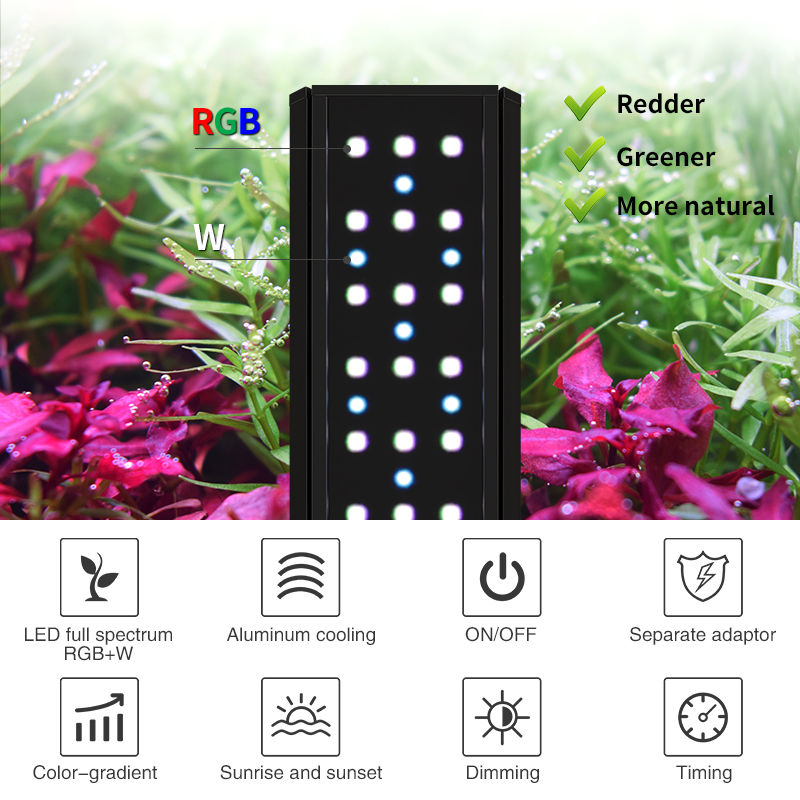Lampu Akuarium LED Spektrum Pe - Aquarium Plants For Sale ulasan dan harga