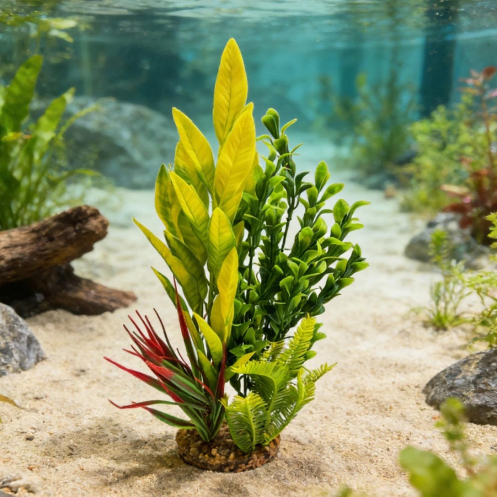 Tanaman Akuarium Buatan Dekora - Planted Aquarium For Beginners ulasan dan harga