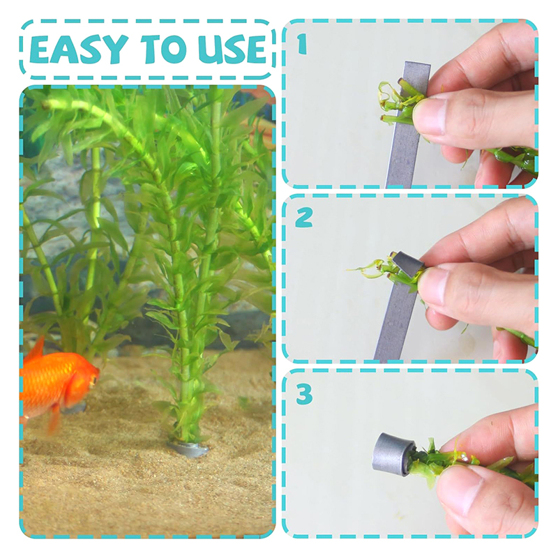 Penjualan Baru 10 Buah Pembera - Aquarium Plants For Sale ulasan dan harga