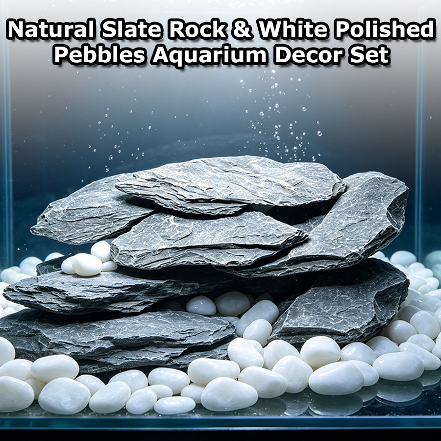 Set Dekorasi Akuarium 400g, Ba - Aquarium Sand White ulasan dan harga