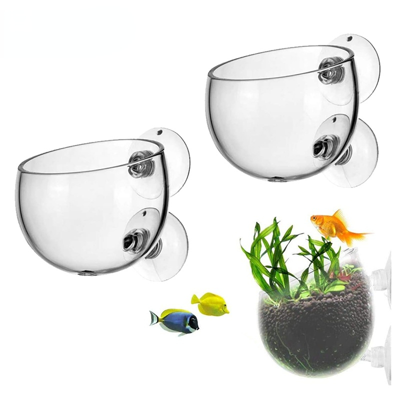 Pot Tanaman Akuarium Baru, Gel - Aquarium Planted Seeds ulasan dan harga