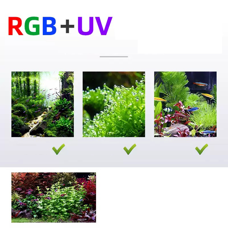 Lampu LED 60cm 80cm 90cm RGB U - Aquarium Plants For Sale ulasan dan harga