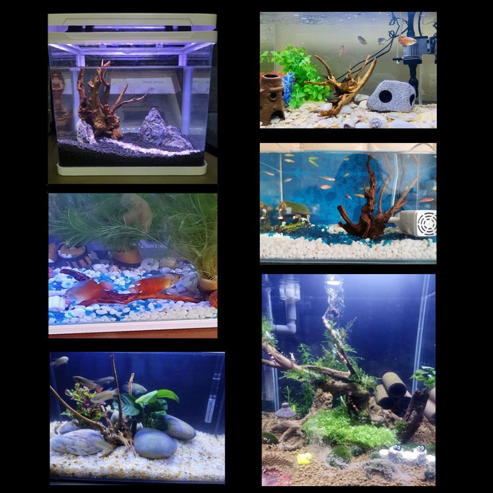 Kayu Apung Akuarium Besar 20-2 - Aquarium Plant Design ulasan dan harga