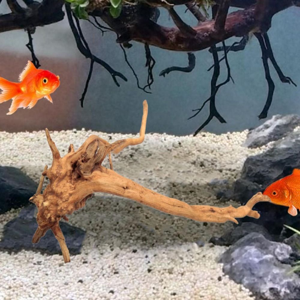 Kayu Apung Akuarium Besar 20-2 - Aquarium Plant Design ulasan dan harga