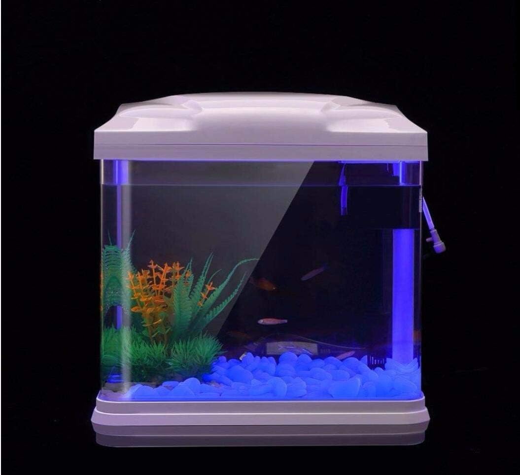 Batu Tangki Ikan Kerikil Biru  - Aquarium For Planted Tank ulasan dan harga