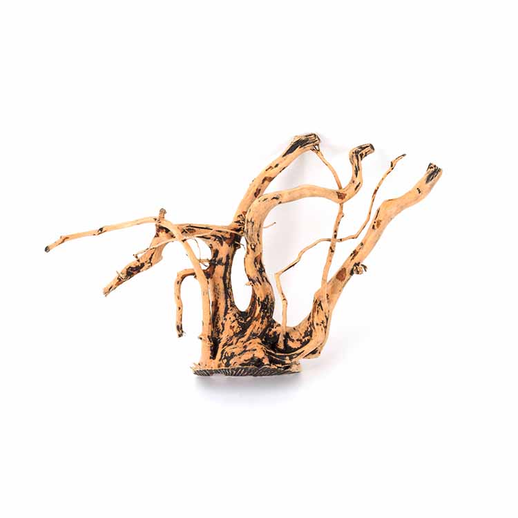 Penjualan Grosir Dekorasi Alam - Aquarium Plants For Sale ulasan dan harga