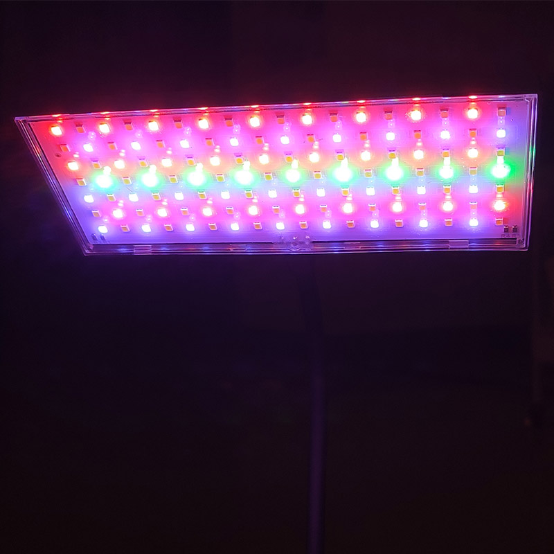 Lampu Akuarium 3 Warna yang Da - Aquarium Plant Ornament ulasan dan harga