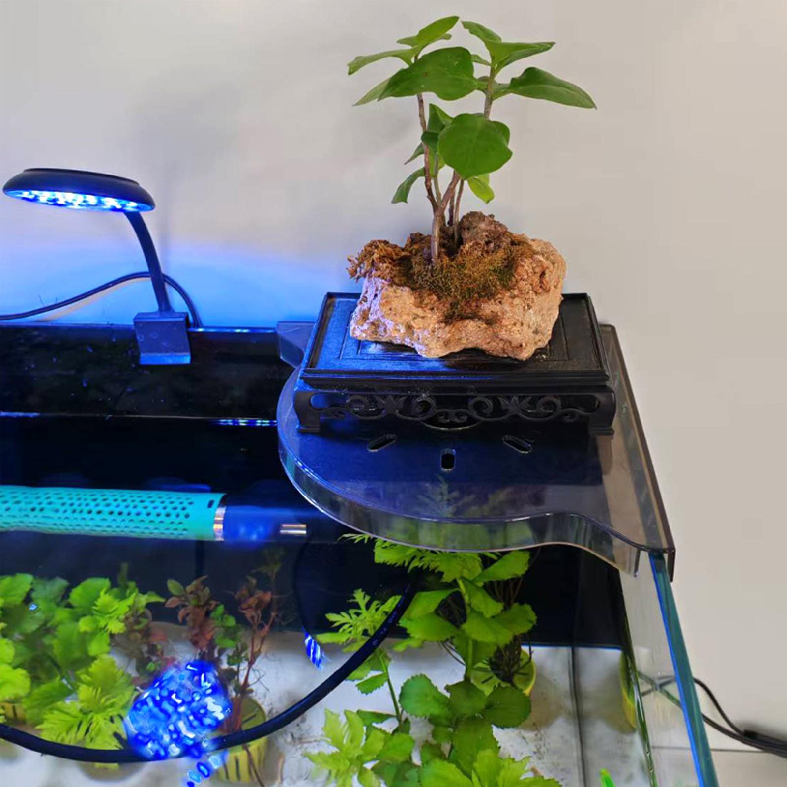 Rak Penyimpanan Sudut Akuarium - Aquarium Plant Design ulasan dan harga