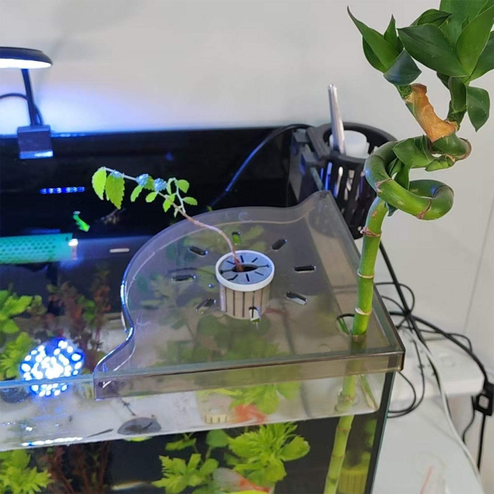 Rak Penyimpanan Sudut Akuarium - Aquarium Plant Design ulasan dan harga