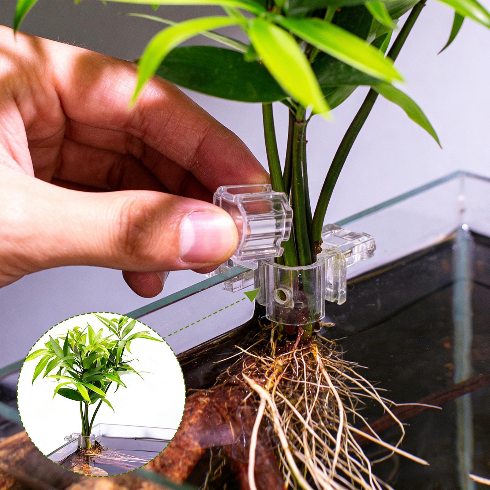 6 Buah Tempat Tanaman Akuarium - Aquarium Plant Ornament ulasan dan harga