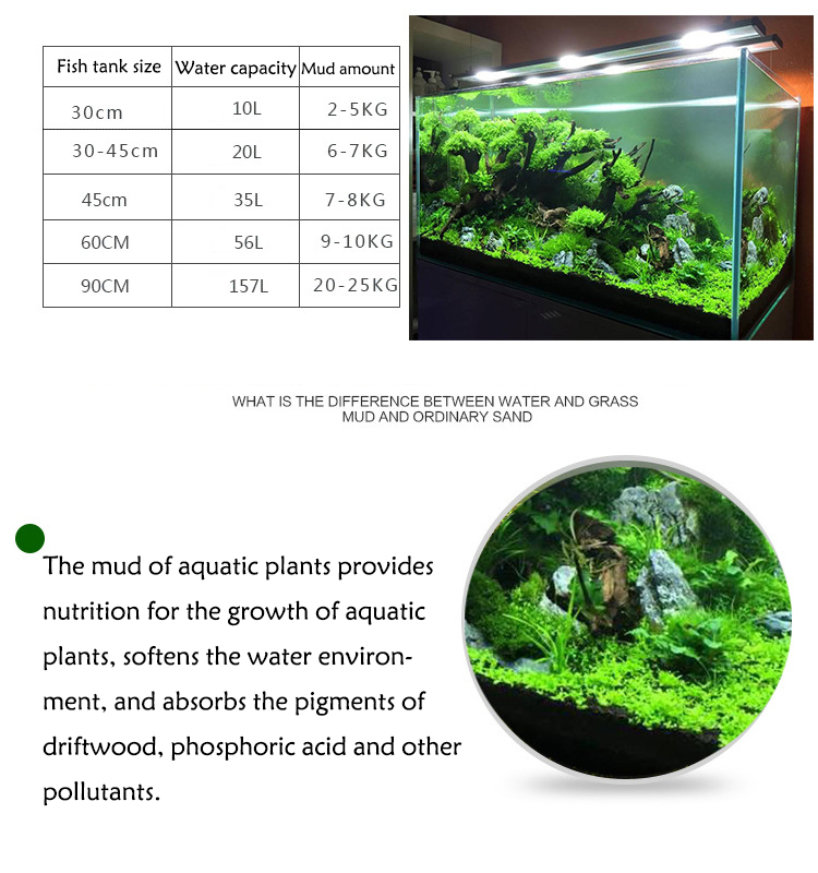 Bibit Tanaman Akuarium Tanah T - Aquarium For Planted Tank ulasan dan harga