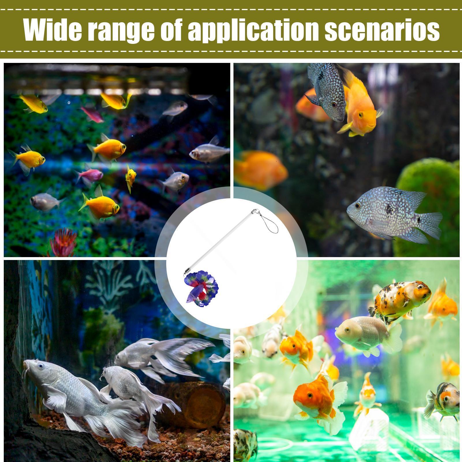 Tongkat Latihan Ikan Mainan Ak - Planted Aquarium For Beginners ulasan dan harga