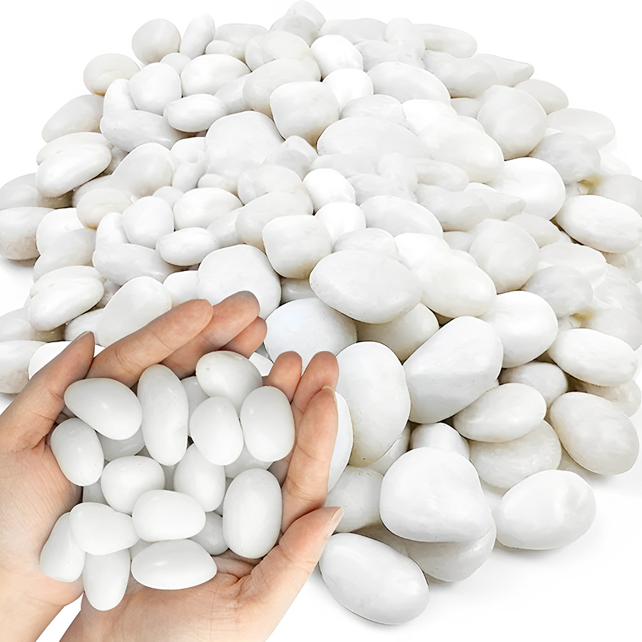 1/2Lb Kerikil Akuarium Putih D - Aquarium Sand White ulasan dan harga