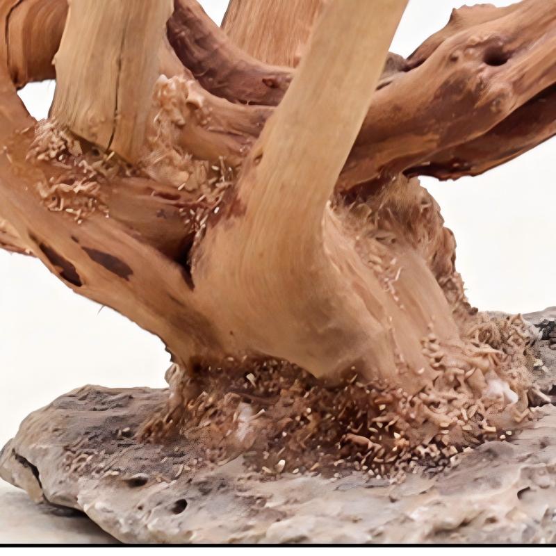 1 Buah Hiasan Kayu Lanskap Aku - Aquarium Plant Design ulasan dan harga
