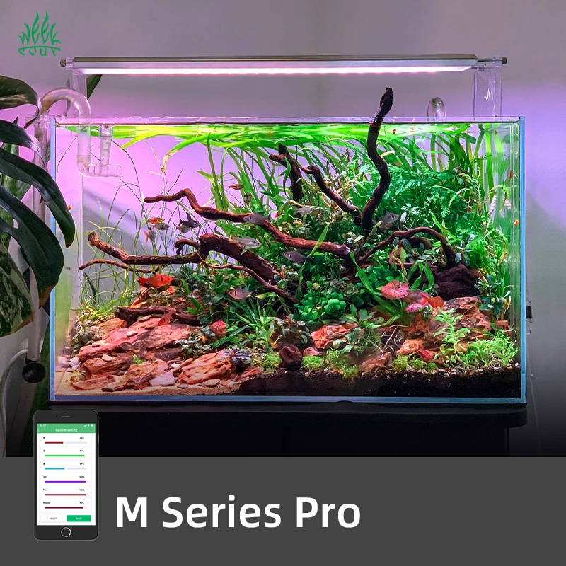 Lampu Akuarium LED Pintar ZXY  - Aquarium Plants For Sale ulasan dan harga
